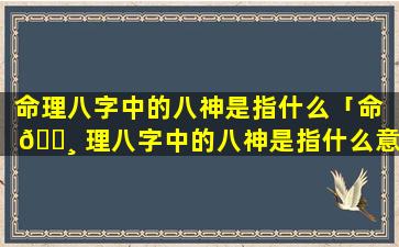 命理八字中的八神是指什么「命 🌸 理八字中的八神是指什么意 🐼 思」